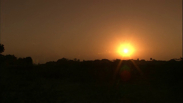 夕阳使地平线上树木的剪影显现出来。视频素材