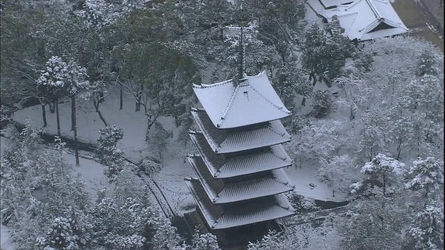 日本京都，白雪覆盖了五层的东寺宝塔。视频素材