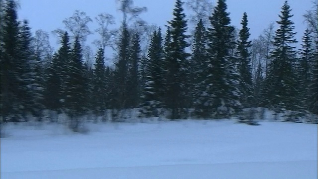 在瑞典哈帕兰达，厚厚的积雪覆盖了乡村道路和森林。视频素材