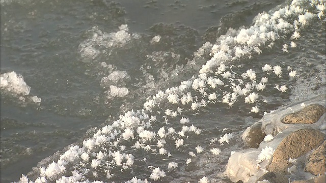 浮冰和碎片掠过河堤上的霜花。视频素材