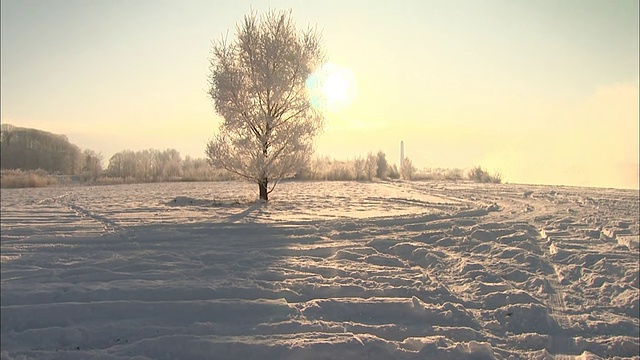 钻石粉在雪地上闪闪发光。视频素材