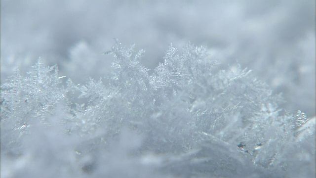 霜形成花状晶体。视频素材