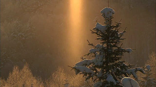 日本伊坦别山口，一根太阳柱在白雪皑皑的常青树中发光。视频素材