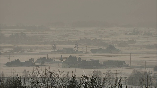 在一个雾天，农田周围覆盖着积雪。视频素材