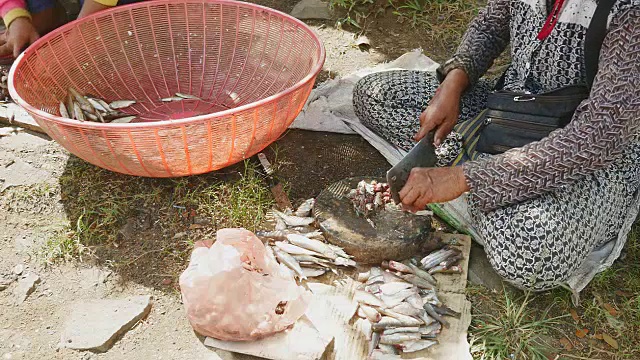 一个女人在一块圆木板上砍下小鱼的头视频素材