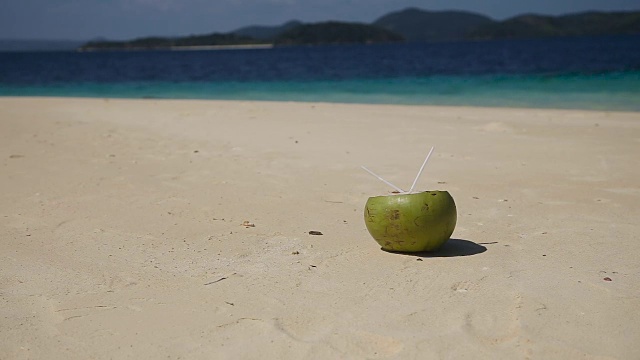 沙滩上的椰子和喝草视频素材