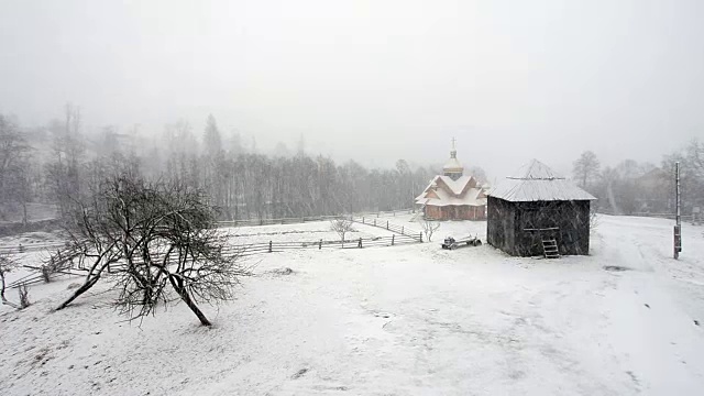 白雪覆盖的冷杉树视频素材