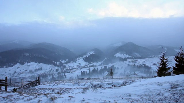 白雪覆盖的冷杉树视频素材