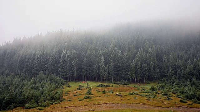 雾蒙蒙的山地景观。视频素材