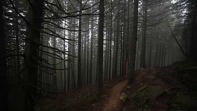 雾蒙蒙的山地景观。视频素材