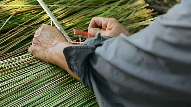 亚洲人用茅草做屋顶视频下载