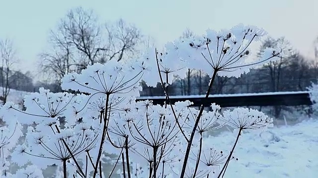 冬天视频素材