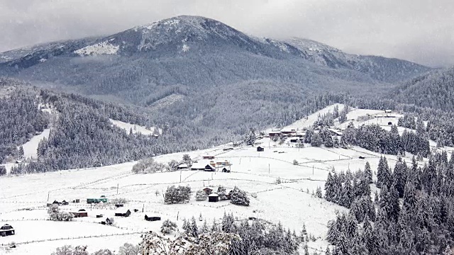 白雪覆盖的冷杉树视频素材