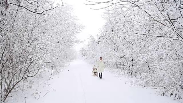 妈妈宝宝在雪橇上滚动视频素材