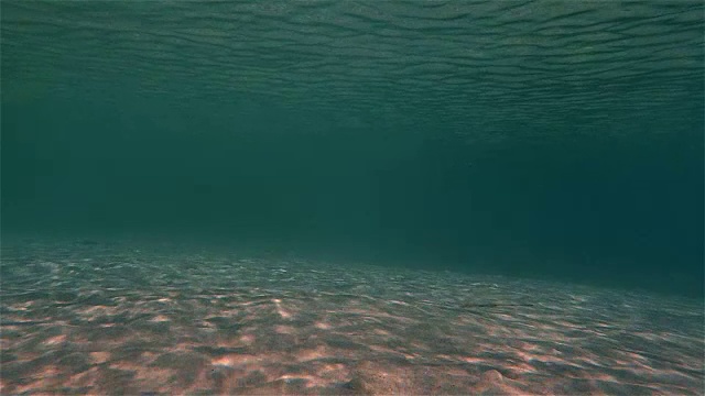 海底雷视频素材