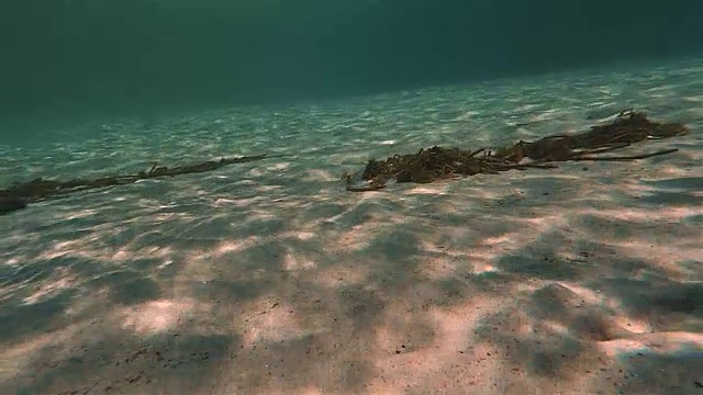 海底雷视频素材