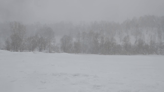 暴雪视频素材