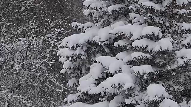 雪花像童话里的雪花视频素材