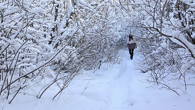 美丽快乐的女孩在冬天的公园散步，欣赏白雪覆盖的树枝视频素材