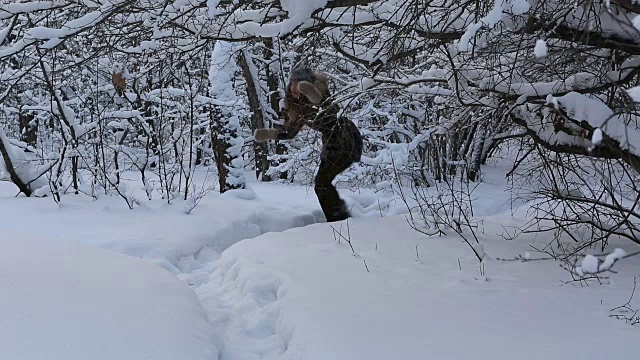 在白雪覆盖的森林里，美丽而惊恐的女孩逃离一个想象中的恶棍视频素材