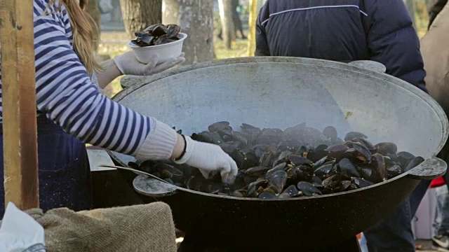 肉类和蔬菜烧烤，用明火烧烤视频下载