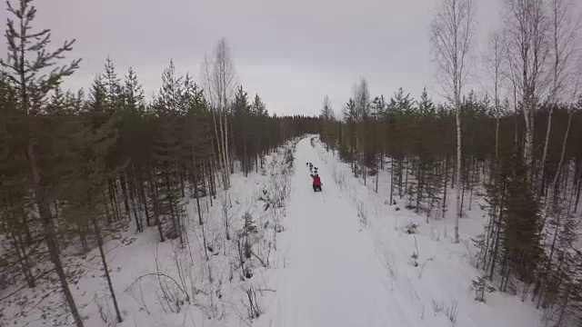 鸟瞰图，雪橇犬在冬季森林的一条小道上奔跑-哈拉尔德，博登市，诺博顿，瑞典视频下载