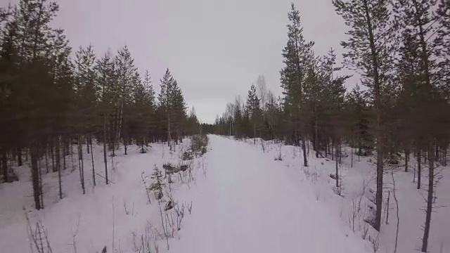 鸟瞰松林之间的雪道-哈拉尔德，博登市，诺博顿，瑞典视频下载