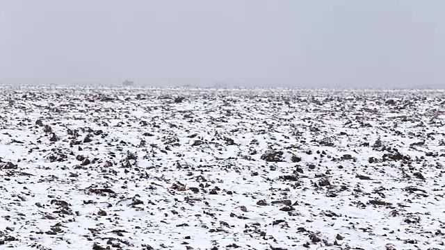 冬季景观:白雪覆盖的耕地。穿越田野的小径视频素材