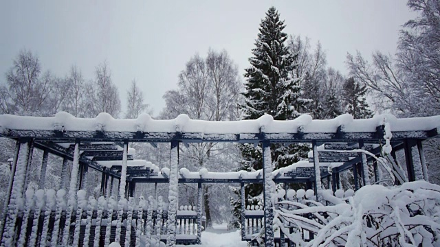 下雪在公园视频素材