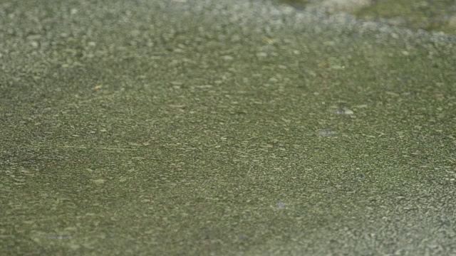 慢镜头特写:雨滴落进人行道上的大水坑里，溅起水花视频素材