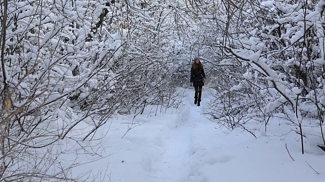 美丽快乐的女孩在冬天的公园散步，欣赏白雪覆盖的树枝视频素材