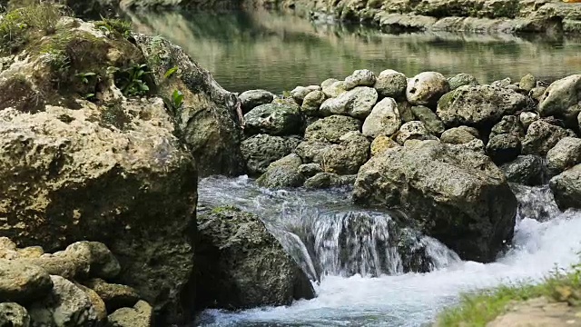 热带森林中的一条小河视频素材