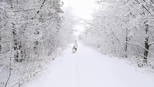 妈妈宝宝在雪橇上滚动视频素材