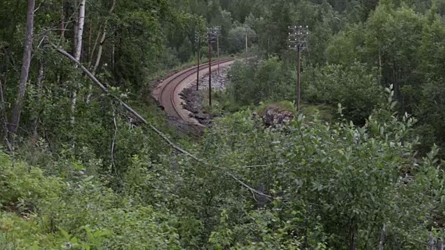 旅客列车经过森林地区视频下载