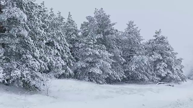 冬天视频素材