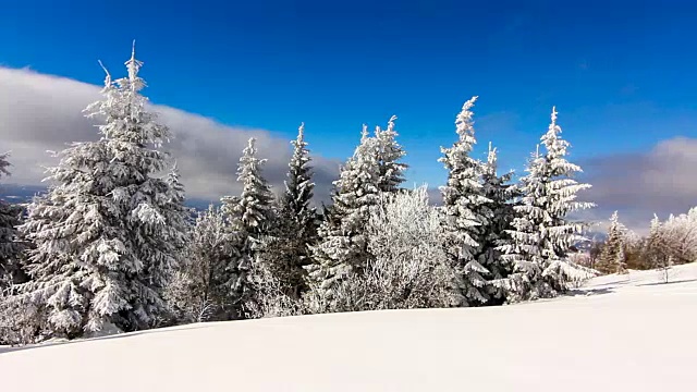 冬季景观与高云杉和雪山视频素材