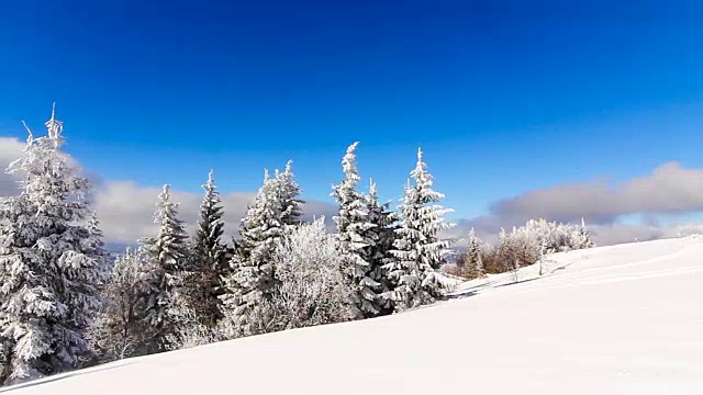 冬季景观与高云杉和雪山视频素材