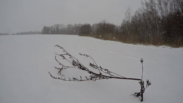 冬天的晚上下雪，时光流逝视频素材