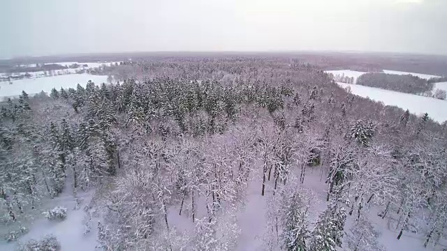 鸟瞰图，整个城市被雪覆盖视频素材