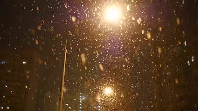 冬夜路灯与飘落的雪视频素材