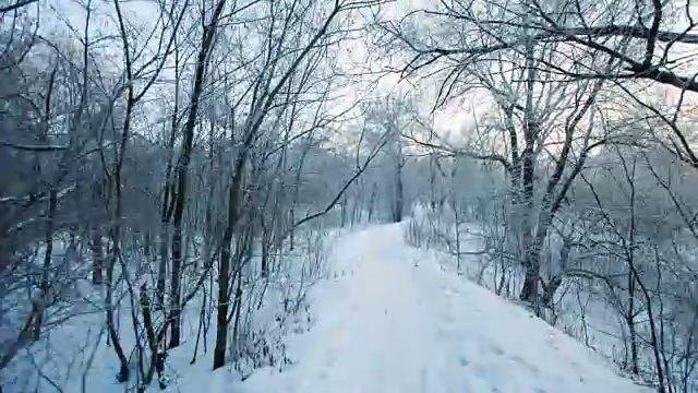 雪天早晨的小路视频素材