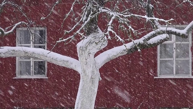 冬天的村庄有暴风雪视频素材