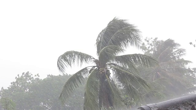 大雨视频下载