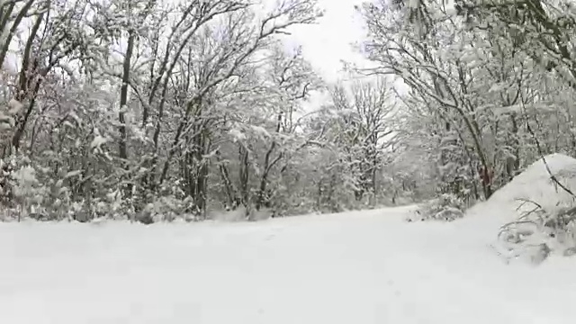 在冬天穿过森林的蜿蜒道路，GoPro视频素材