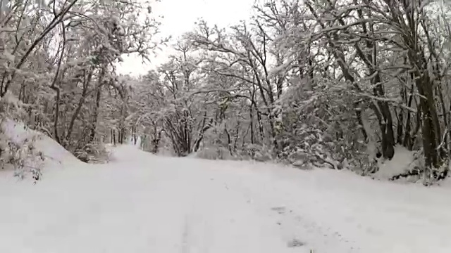 冬天路下雪后，去亲视频素材