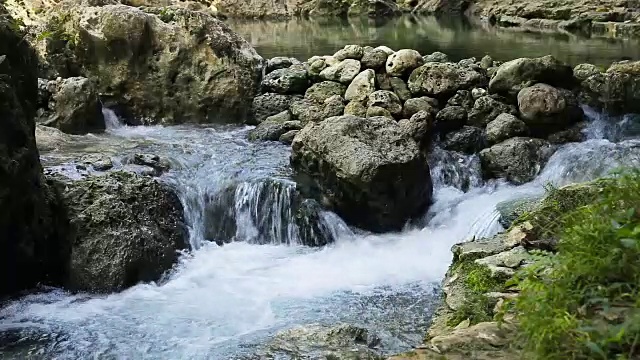 热带森林中的一条小河视频素材