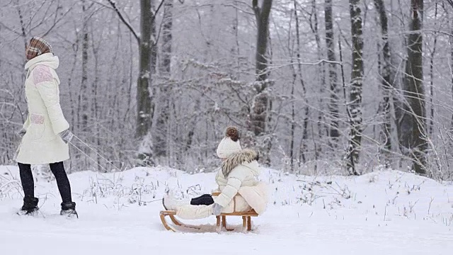 妈妈宝宝在雪橇上滚动视频素材