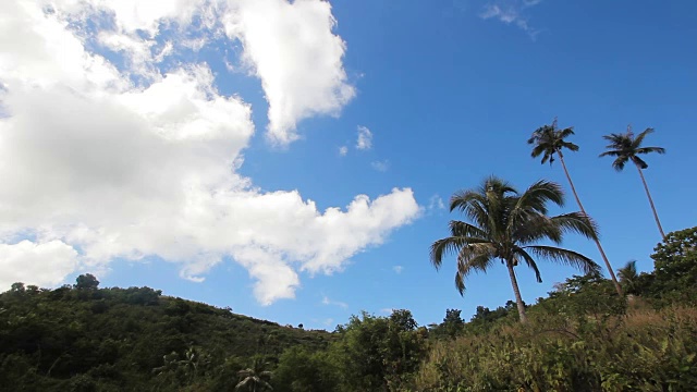 风景与椰子树和山脉视频素材