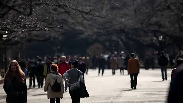 人群行走时间流逝视频素材