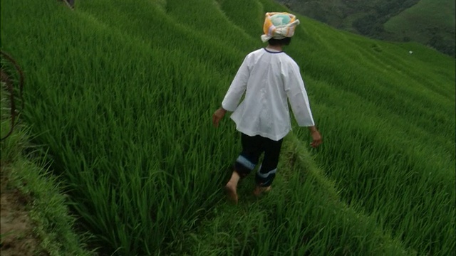 男人和女人在龙脊梯田上照料植物视频素材